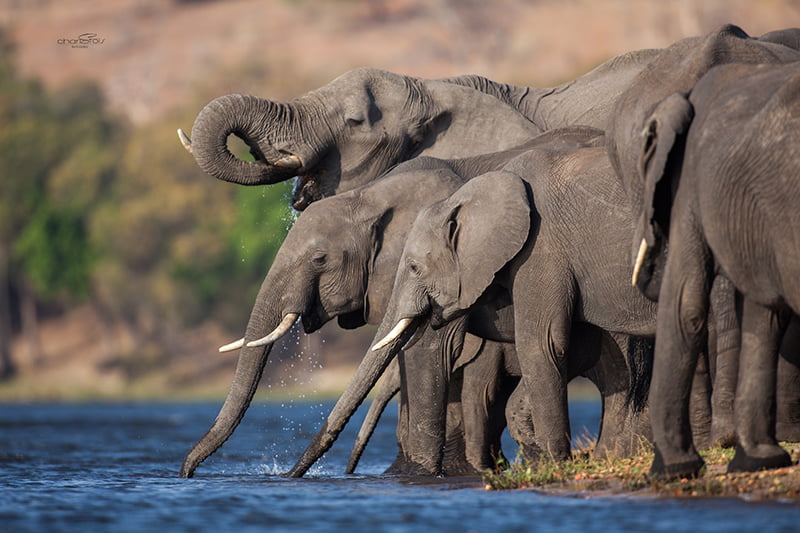 Botswana